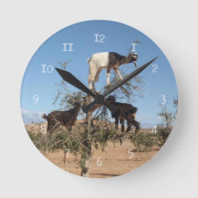 Lustigt getter i träd rund klocka (Framsida)