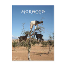 Lustigt getter i träd