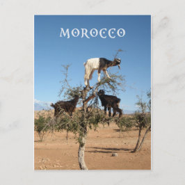 Lustigt getter i träd vykort