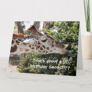 Lustigt Giraffe Birthday Card, födelsedagssmooch! Kort