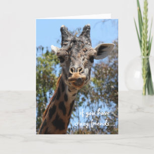 Lustigt Giraffe Card, vänner är allt! Kort