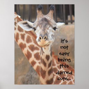 Lustigt Giraffe Poster (16 x 12) och det är inte l