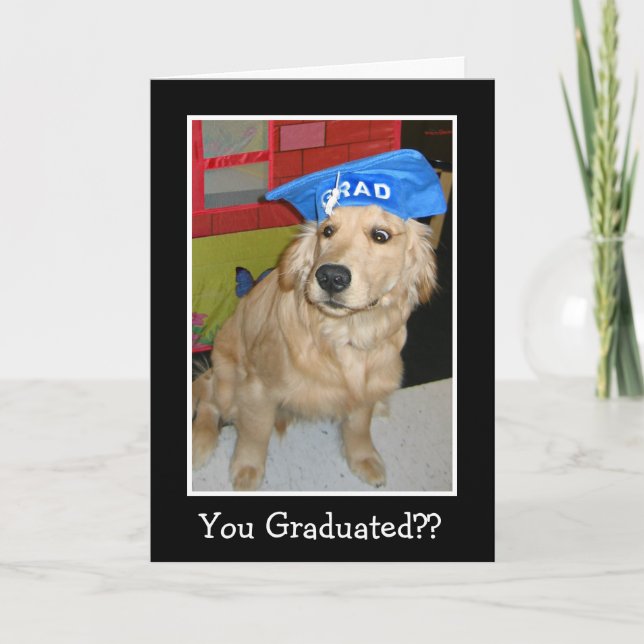 Lustigt Golden Retriever du har stulit Studenten Kort (Framsida)