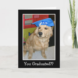 Lustigt Golden Retriever du har stulit Studenten Kort
