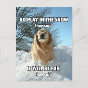 Lustigt Golden Retriever Go Play i Snö Memman Vykort