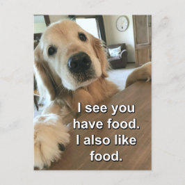 Lustigt Golden Retriever jag ser att du har matpap Vykort