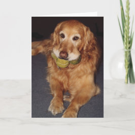 Lustigt Golden Retriever med Bollar-födelsedagskor Kort