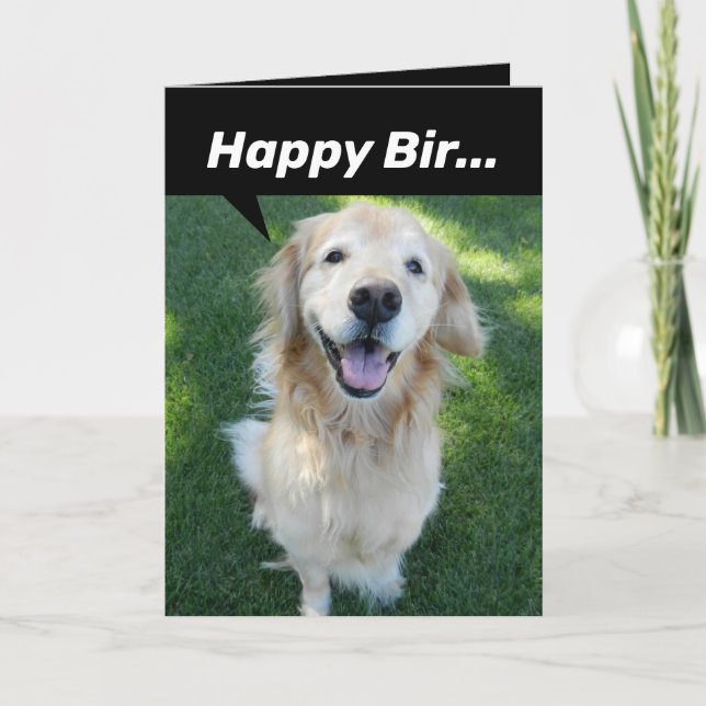 Lustigt golden Retriever uppdelat efter ekorre Kort (Framsida)