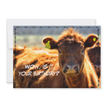 Lustigt Grattis på födelsedagen Land Mail Tales fr