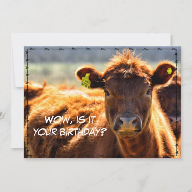 Lustigt Grattis på födelsedagen Land Mail Tales fr Julkort (Framsida)