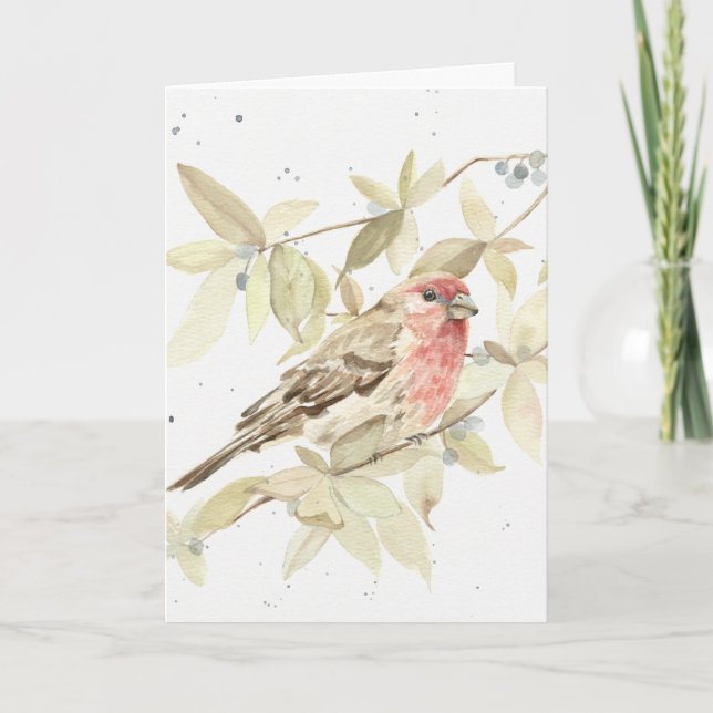 Lustigt - gratulationskort för House Finch Grattis Kort (Framsida)
