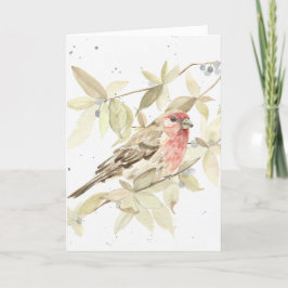 Lustigt - gratulationskort för House Finch Grattis Kort