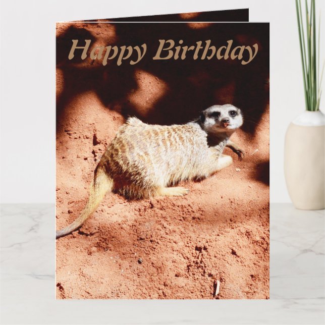 Lustigt Grävande Meerkat Jumbo Birthday Card Kort (Framsida)