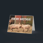 Lustigt Grisar FÖR MIN BROTHER Birthday Kort<br><div class="desc">Se upp! Det är en barnyardhjärna! Som om det växte upp med din bror,  höger? Gör kortet speciellt med ditt eget ord och ha roligt! Photo ©Christine Greenspan.</div>