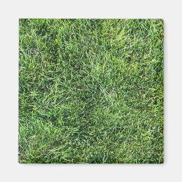 Lustigt grönt, riktigt foto struktur mönster rolig magnet