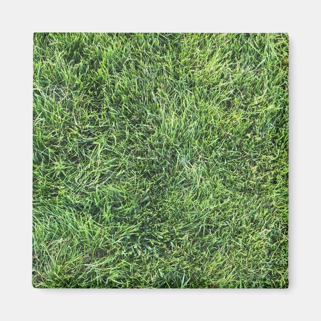 Lustigt grönt, riktigt foto struktur mönster rolig magnet (Framsidan)