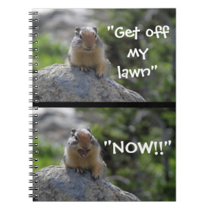 Lustigt Ground Squirrel skriker av från min Gräs Anteckningsbok