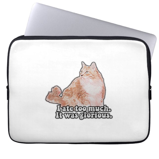 Lustigt grumligt kattminne för katt och kattunge ä laptop fodral (Framsidan)