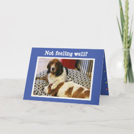 Lustigt "Hämta bra"-kort med cute Basset Hounds Kort
