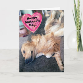 Lustigt Hårig Golden Retriever Mors dag Kort