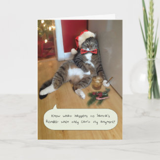 Lustigt Helgdag Cat Card, tomtens renare Helgkort