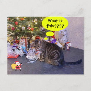 Lustigt helgdag med kattunge och Jultomten Vykort