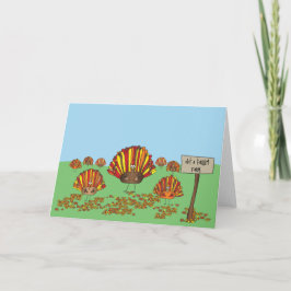 Lustigt, Helgdag, Thanksgiving, Tecknad Turkiet Kort