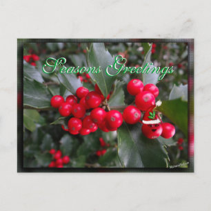 Lustigt Holly Postcard-anpassa Helg Vykort