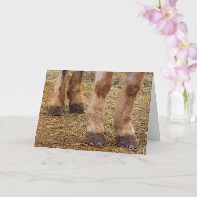 Lustigt Horse Ben Get-well Card Kort (Orkide)