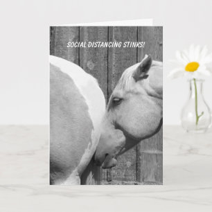 Lustigt Horse Stinks Social Avstånd att du saknas Kort