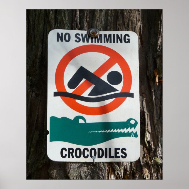 Lustigt INGA SWIMMING-varningsskyltar Poster (Framsidan)