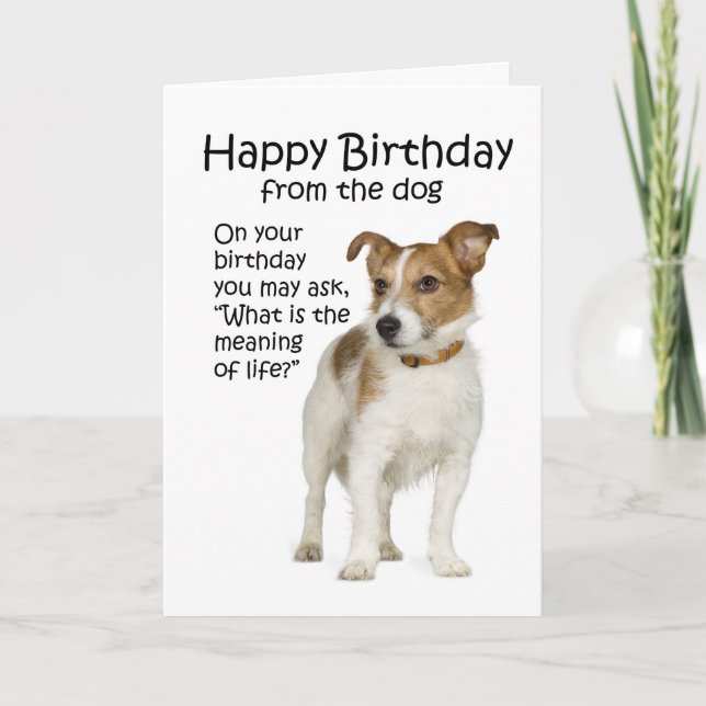 Lustigt Jack Russell Terrier Birthday Card Kort (Framsida)