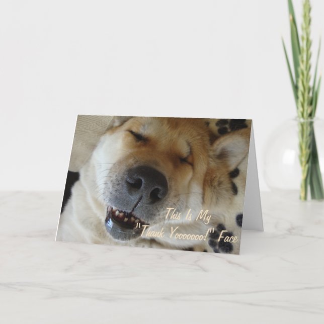 Lustigt japansk akita hund leende tack (Framsida)