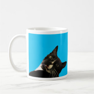 Lustigt katt blankt, lägg till ditt motto-fotodesi kaffemugg