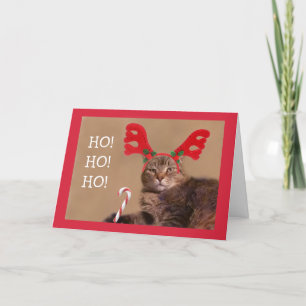 Lustigt katt och Candy cane jul Helgkort