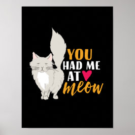 Lustigt katt och Kitten Kärlek du hade mig i Meow Poster