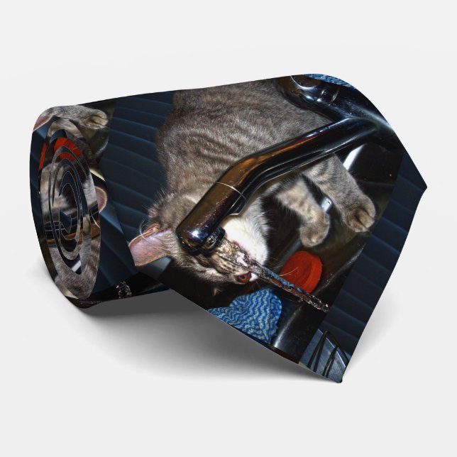 Lustigt katt som drar från Kap, Kacktie Slips (Rullad)