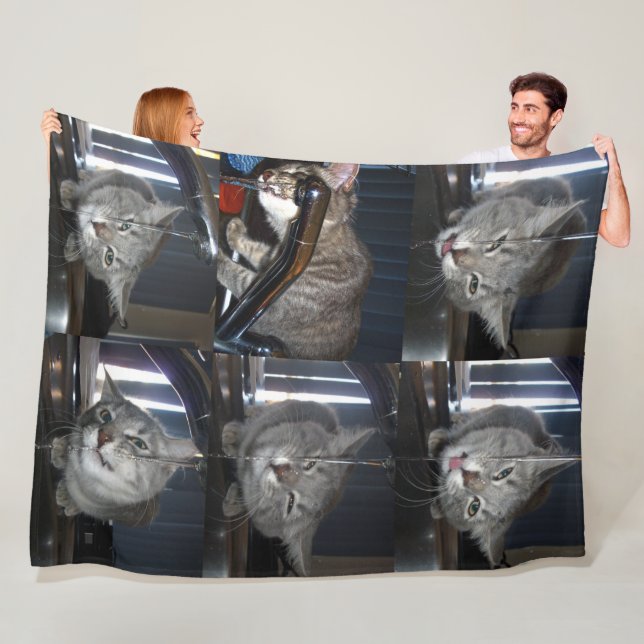 Lustigt katt som drar från köksskåp. fleecefilt (På plats)