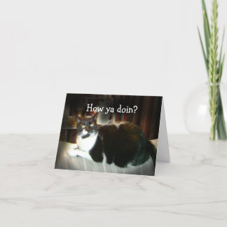 Lustigt kattkort - hur Ya Doin, hur du tänker Kort