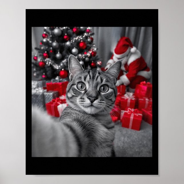 Lustigt kattselfie med Jultomten julPM _ Poster (Framsidan)