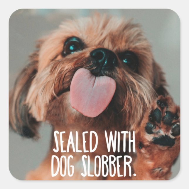 lustigt klistermärke (Framsida)