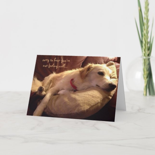 Lustigt, kom bra, Cute Sleeping Hund Dreams Kort (Framsida)