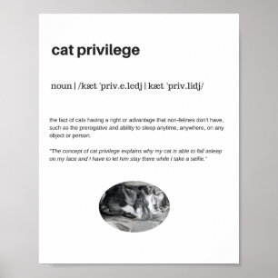 Lustigt könsprivilegium sömnselfie poster matte