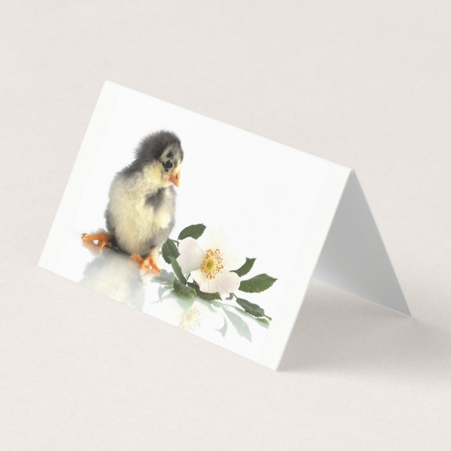 Lustigt kyckling ・ Vikta Affärskort Visitkort (Framsida)