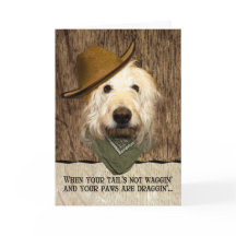 Lustigt Labradoodle i Cowboy Hat Bandana kommer br