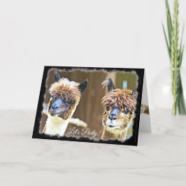 Lustigt Låt oss födelsedagskort Party Alpaca Kort