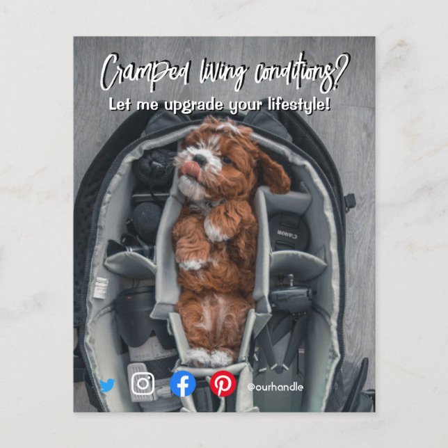 Lustigt levande hund med gods-vykort flygblad (Framsidan)