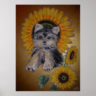 Lustigt lilla Hund och solblommor Poster