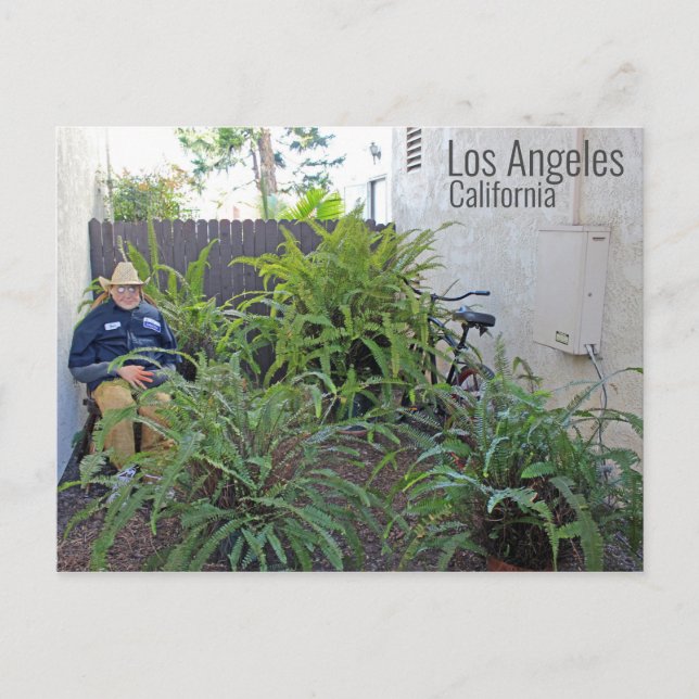 Lustigt Los Angeles Postcard! Vykort (Framsida)