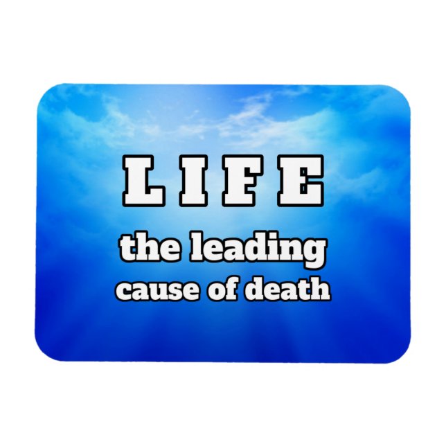 Lustigt Magnet (Horisontell)